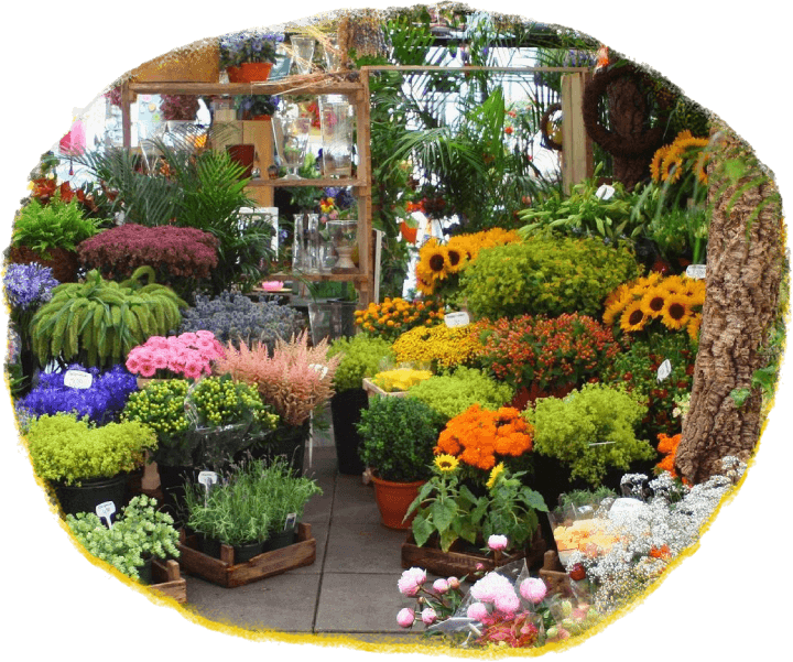 Free Flower Delivery