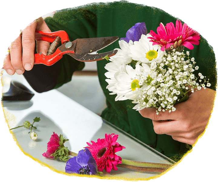 Free Flower Delivery