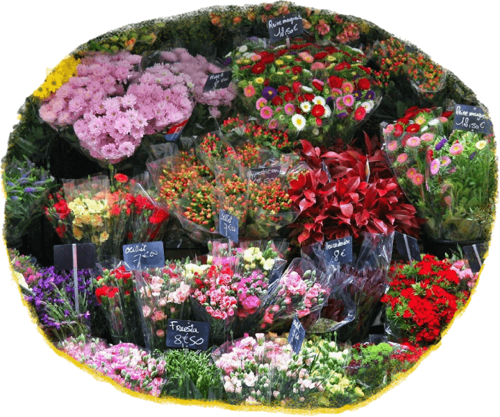 Free Flower Delivery