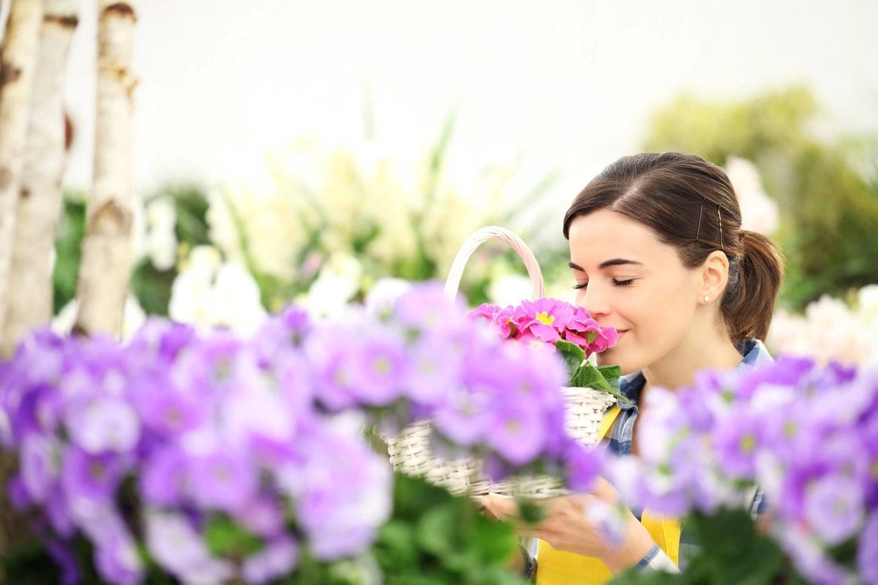 Get Well Flowers & Gifts