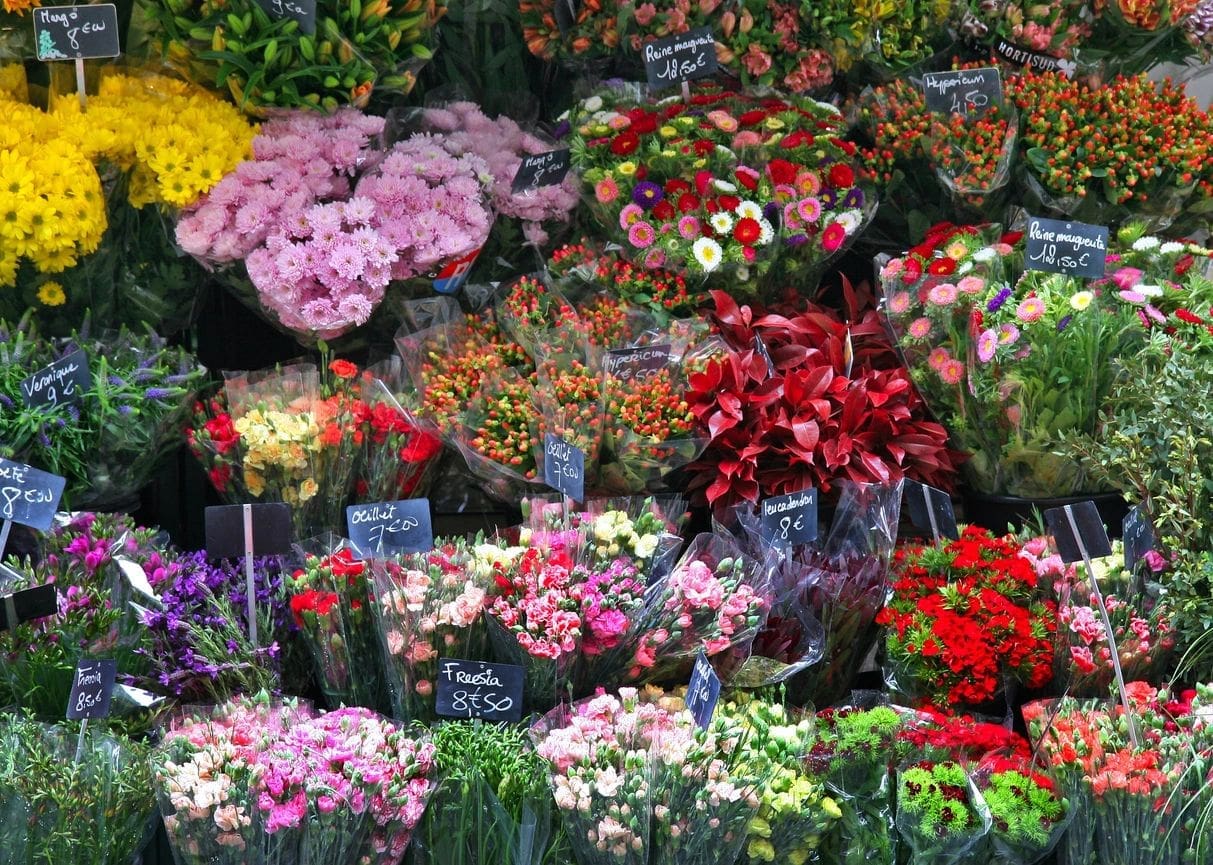Free Fresh Flower Gift Delivery